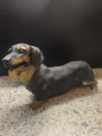 Teckel, Ophalen of Verzenden, Dier