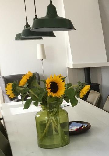 Drie hanglampen groen emaille koperen fitting industrieel beschikbaar voor biedingen