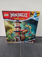 71795 Lego Ninjago Tempel van de Drakenenergiekernen. Nieuw., Ophalen of Verzenden, Nieuw, Complete set, Lego