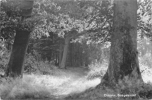 (388-408-021) Doorn Bosgezicht, Verzamelen, Ansichtkaarten | Nederland, Utrecht, Verzenden