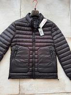 Nieuwe originele sportieve Peuterey puffer winterjas, Kleding | Heren, Jassen | Winter, Ophalen of Verzenden, Nieuw, Zwart, Peuterey
