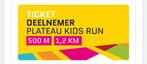 Gevraagd: Ticket tt cityrun kids, Tickets en Kaartjes