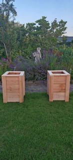 Douglas bloembak, Tuin en Terras, Ophalen, Tuin, Minder dan 60 cm, Vierkant