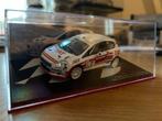 Fiat Punto S2000 Rally Modelauto 1:43, Hobby en Vrije tijd, Modelauto's | 1:43, Ophalen of Verzenden, Zo goed als nieuw, Auto