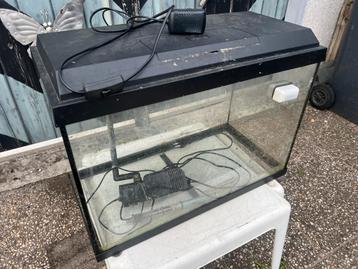 Aquarium + toebehoren beschikbaar voor biedingen