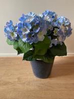 Hortensia kunstplant met pot, Huis en Inrichting, Woonaccessoires | Kunstplanten en Kunstbloemen, Ophalen, Zo goed als nieuw, Binnen