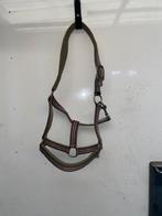 Pk halster maat cob/pony, Ophalen of Verzenden, Zo goed als nieuw, Overige soorten