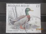 POSTZEGEL  BELGIE 1989 - VOGEL   =857=, Ophalen of Verzenden, Gestempeld