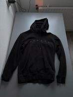 Aspact Truien, Maat 52/54 (L), Overige kleuren, Aspact, Ophalen of Verzenden