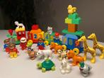 🎁 Lego DUPLO Trein met Dieren, Ophalen of Verzenden, Zo goed als nieuw, Losse stenen, Duplo