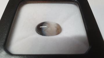 Sardonyx - Cabochon - Ovaal - 16 mm x 10 mm - 6,48 ct beschikbaar voor biedingen