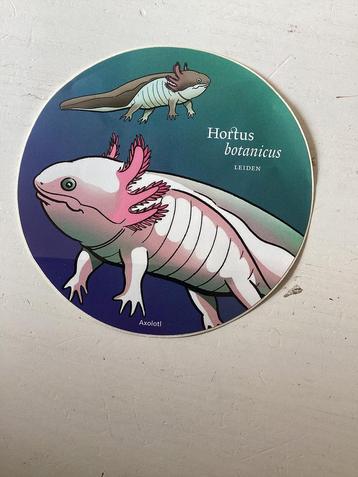 Sticker Hortus Botanicus Leiden beschikbaar voor biedingen