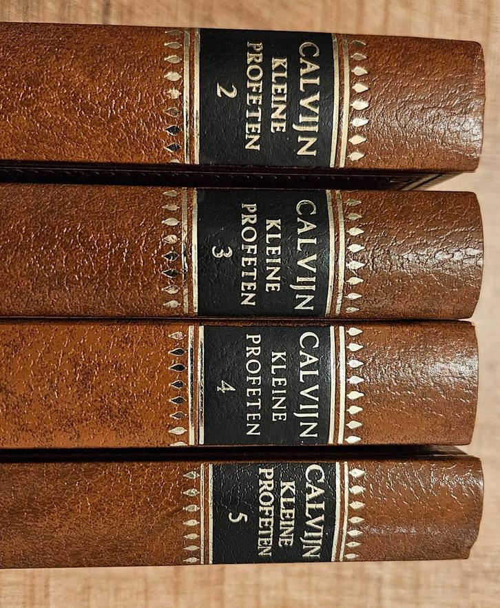 Calvijn Bijbelverklaring Kleine Profeten - deel 2, 3, 4 en 5, Boeken, Godsdienst en Theologie, Gelezen, Christendom | Protestants