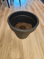 Zwarte plantenpot - Gratis, Ophalen, Kunststof, 40 cm of meer, Rond