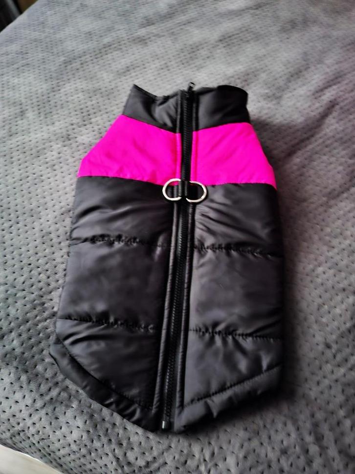 Hondenjasje Nieuw, Dieren en Toebehoren, Hondenkleding, Nieuw, Hondenjas, Ophalen of Verzenden