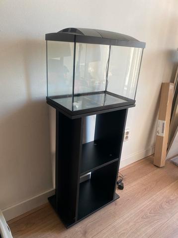 Superfish start 50 met meubel in zeer goede staat beschikbaar voor biedingen