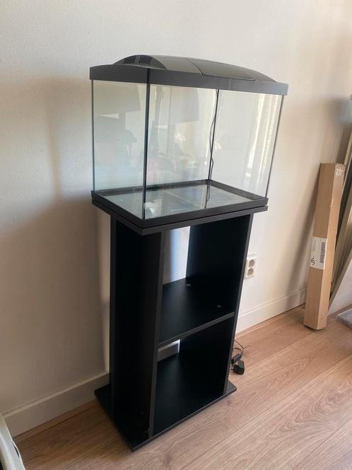 Superfish start 50 met meubel in zeer goede staat, Dieren en Toebehoren, Vissen | Aquaria en Toebehoren, Zo goed als nieuw, Leeg aquarium