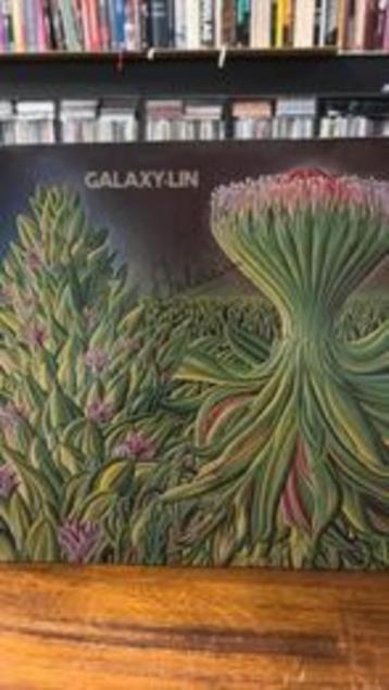 Galaxy Lin vinyl album signed guitarist Robbie van Leeuwen beschikbaar voor biedingen