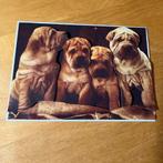 Kaart 3d dieren honden 3, Ophalen of Verzenden, Nieuw, Overige thema's