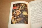 Pieter Bruegel de Oude - De val der opstandige engelen, Ophalen of Verzenden, Gelezen, Schilder- en Tekenkunst