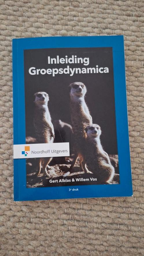 Willem Vos - Inleiding groepsdynamica, Boeken, Psychologie, Zo goed als nieuw, Ophalen of Verzenden