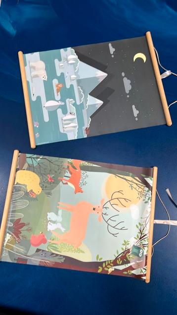 2-zijdige schoolplaat | bosdieren en pooldieren beschikbaar voor biedingen