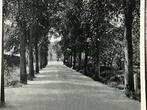 Zuidland Steenenweg ca 1925-30, Verzamelen, Ansichtkaarten | Nederland, Ophalen of Verzenden, Voor 1920, Ongelopen, Zuid-Holland