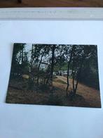 HOENDERLOO. CAMPING "VELUW'S HOF", Ophalen of Verzenden, 1960 tot 1980