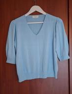 Alexandere Laurent top L, Ophalen, Blauw, Maat 42/44 (L), Alexandere Laurent