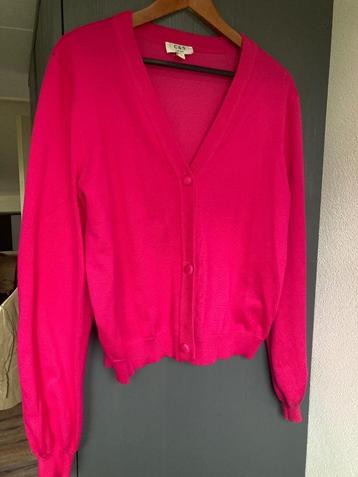 Leuk fel roze vestje van C & S, maat L beschikbaar voor biedingen