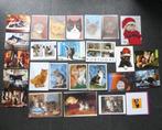 Kattenkaarten verzameling ansichtkaarten kat poes, Ophalen of Verzenden, 1980 tot heden, Ongelopen, Hond of Kat