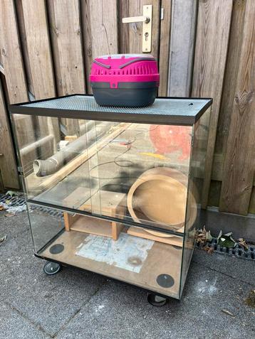 Glazen kooi of terrarium voor hamsters, gerbils en reptielen beschikbaar voor biedingen