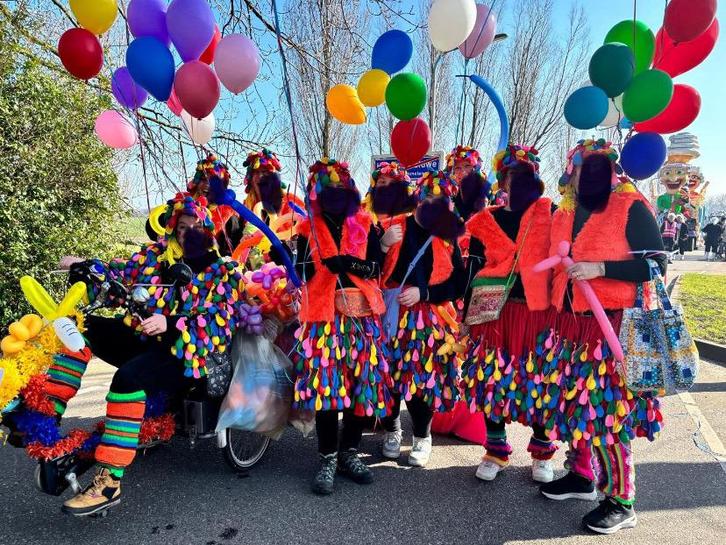 Loopgroep Carnaval, 9 personen; ‘Wij zien ze vliegen’, Kleding | Dames, Carnavalskleding en Feestkleding, Carnaval, Maat 46/48 (XL) of groter