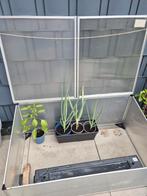 Kweekkas 100x60x40 NIEUW Wiltec, Ophalen of Verzenden, Nieuw
