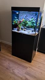 Juwel Lido 200 inclusief helialux en JBL, Dieren en Toebehoren, Ophalen, Zo goed als nieuw, Leeg aquarium