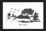 Knipkunst Drenthe Hunebed Ree Gans Haas., Ophalen of Verzenden, 1980 tot heden, Ongelopen, Drenthe