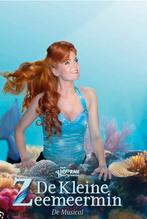 Musical de kleine zeemeermin, Tickets en Kaartjes, Twee personen, Juni