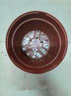 Kweekpotten plantenpotten bloempotten 5 liter, Tuin en Terras, Kunststof, Gebruikt, Rond, Ophalen of Verzenden