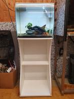 Fluval Flex aquarium te koop, Dieren en Toebehoren, Ophalen, Zo goed als nieuw, Gevuld zoetwateraquarium