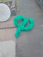 Paaiborstel, Karper of Koi