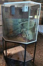 Groot terrarium, Dieren en Toebehoren, Ophalen, Gebruikt