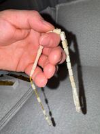 SIKMA KEHRİBAR TESBİH, Ophalen, Zo goed als nieuw, Overige merken