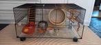 Hamsterkooi/ knaagdierkooi/ kooi van glas, Dieren en Toebehoren, Kooi, Gebruikt, Hamster, 75 tot 110 cm