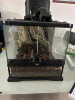 Exoterra terrarium 30x30x30, Dieren en Toebehoren, Reptielen en Amfibieën | Toebehoren, Ophalen, Zo goed als nieuw
