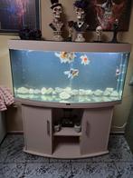 Juwel rio vision 260liter half rond (leeg), Ophalen, Gebruikt, Leeg aquarium