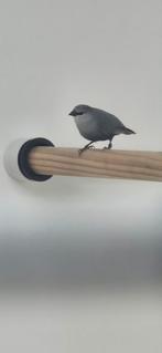 Gezocht pop lavendel astilde, Vrouwelijk