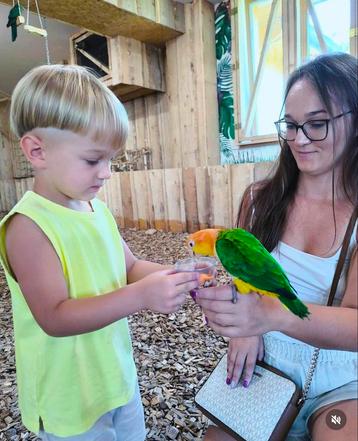 tamme familie caiques beschikbaar voor biedingen