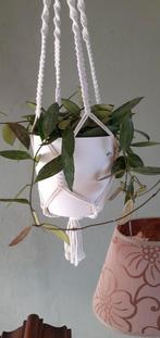 Mooie grote  hangplant  Hoja, Ophalen, Zo goed als nieuw