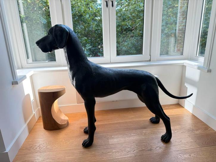 Levensecht deense dog beeld, Verzamelen, Beelden en Beeldjes, Zo goed als nieuw, Dier, Ophalen