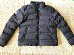 Superdry gewatteerde heren winterjas xxl donkerblauw. Lengte, Ophalen of Verzenden, Nieuw, Overige maten, Blauw